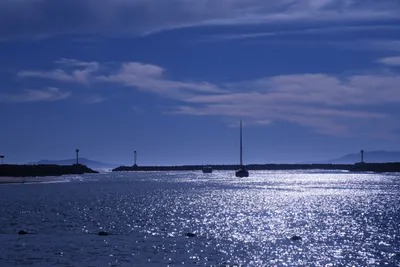 DSC_0802 (Large).JPG